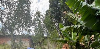 Projeto Guardiões de Raízes une habitação, sustentabilidade e saberes tradicionais em Pinda