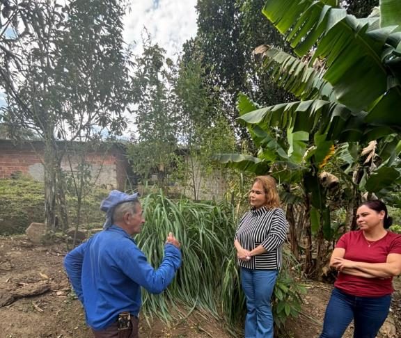 Projeto Guardiões de Raízes une habitação, sustentabilidade e saberes tradicionais em Pinda