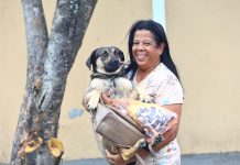 São Francisco Xavier recebe Castramóvel neste domingo