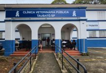 Clínica Veterinária Pública terá reforço temporário de urgência e emergência aos finais de semana