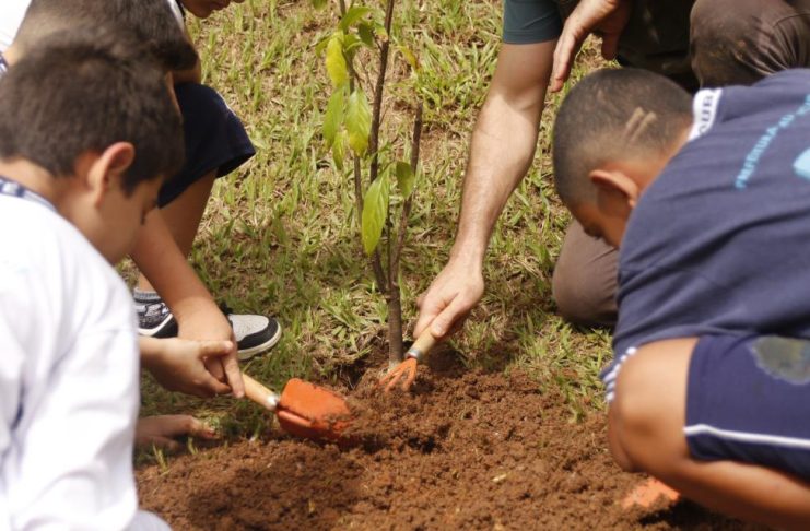 Dias Verdes: Taubaté promove ações de educação ambiental entre 22 e 25 de setembro