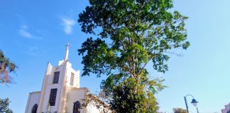 Notas ao pôr do sol’ leva música e artesanato ao distrito de Quiririm neste sábado (19)