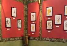 Centro Cultural Toninho Mendes recebe exposição que une arte e causa animal