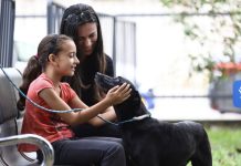 Tratamento veterinário vitalício incentiva adoção de pets idosos