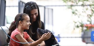 Tratamento veterinário vitalício incentiva adoção de pets idosos