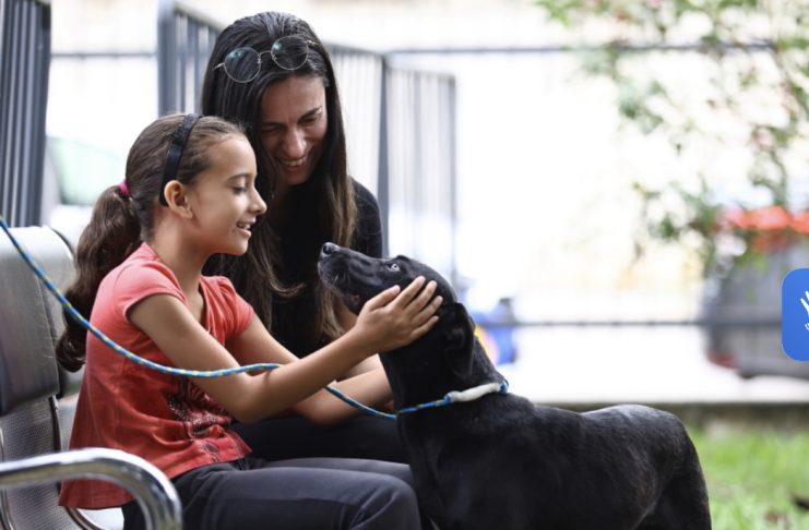 Tratamento veterinário vitalício incentiva adoção de pets idosos